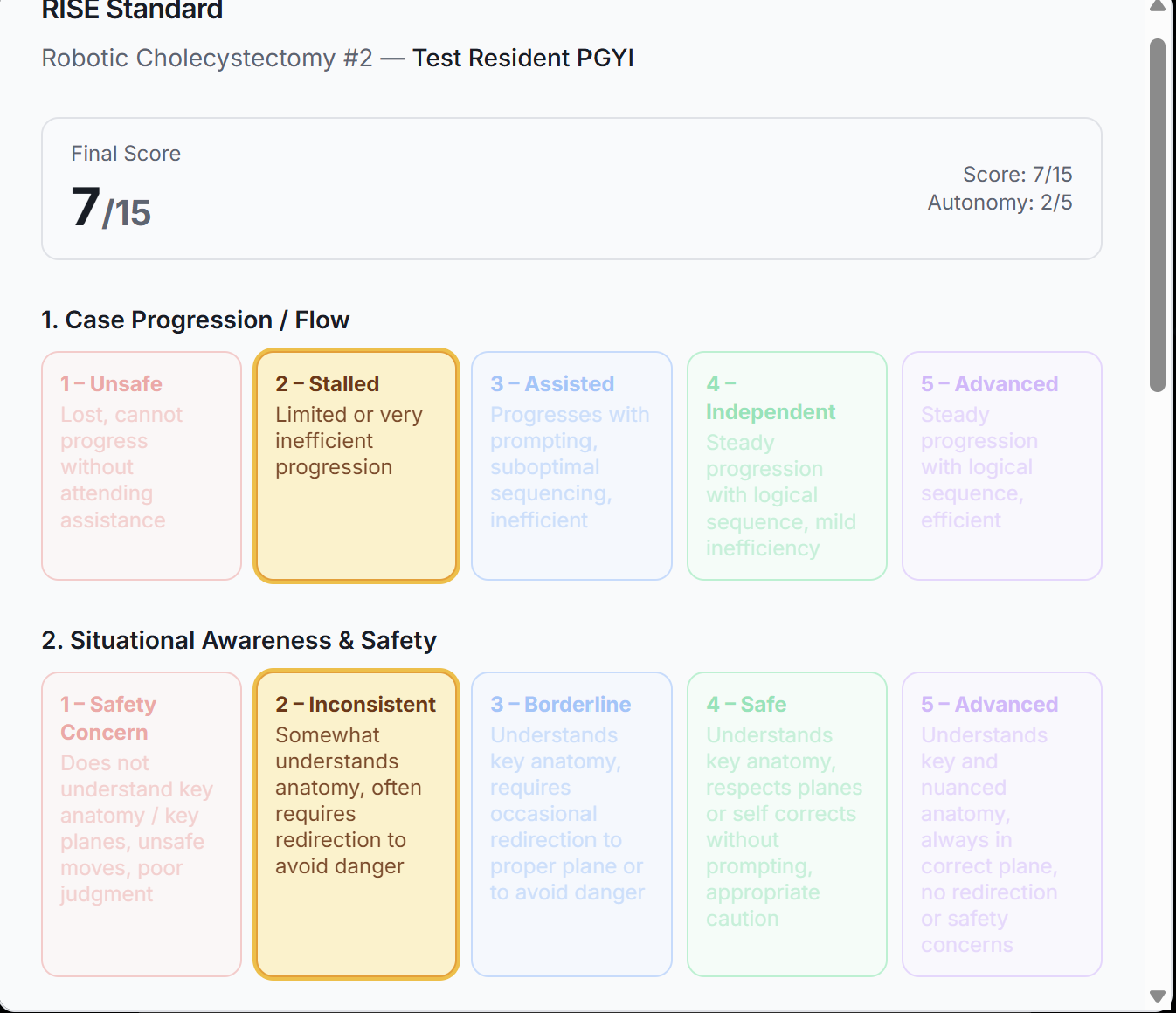 Arc Insight RISE evaluation form